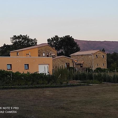 Quinta Damigo ξενώνας Seia Εξωτερικό φωτογραφία