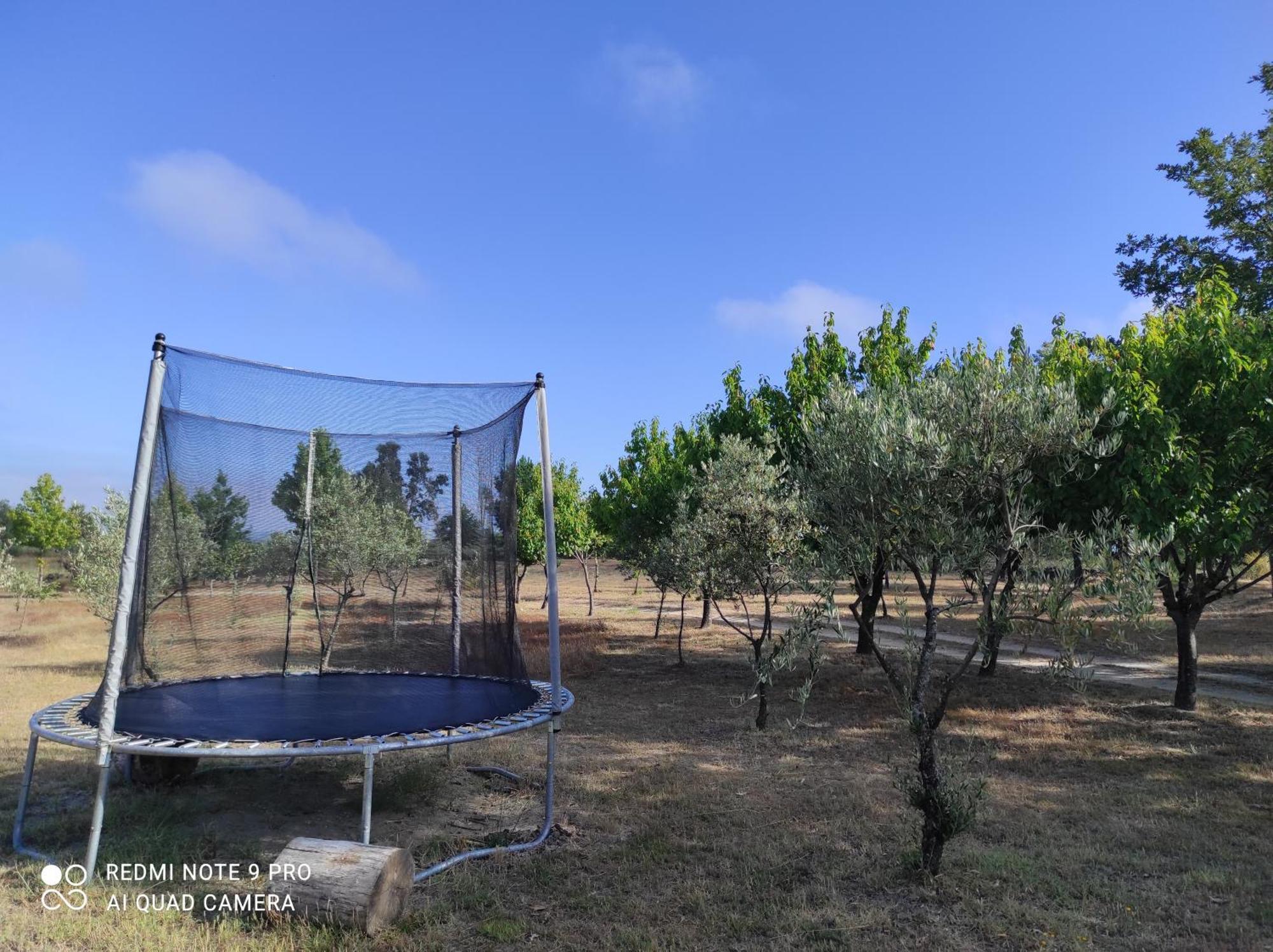Quinta Damigo ξενώνας Seia Εξωτερικό φωτογραφία