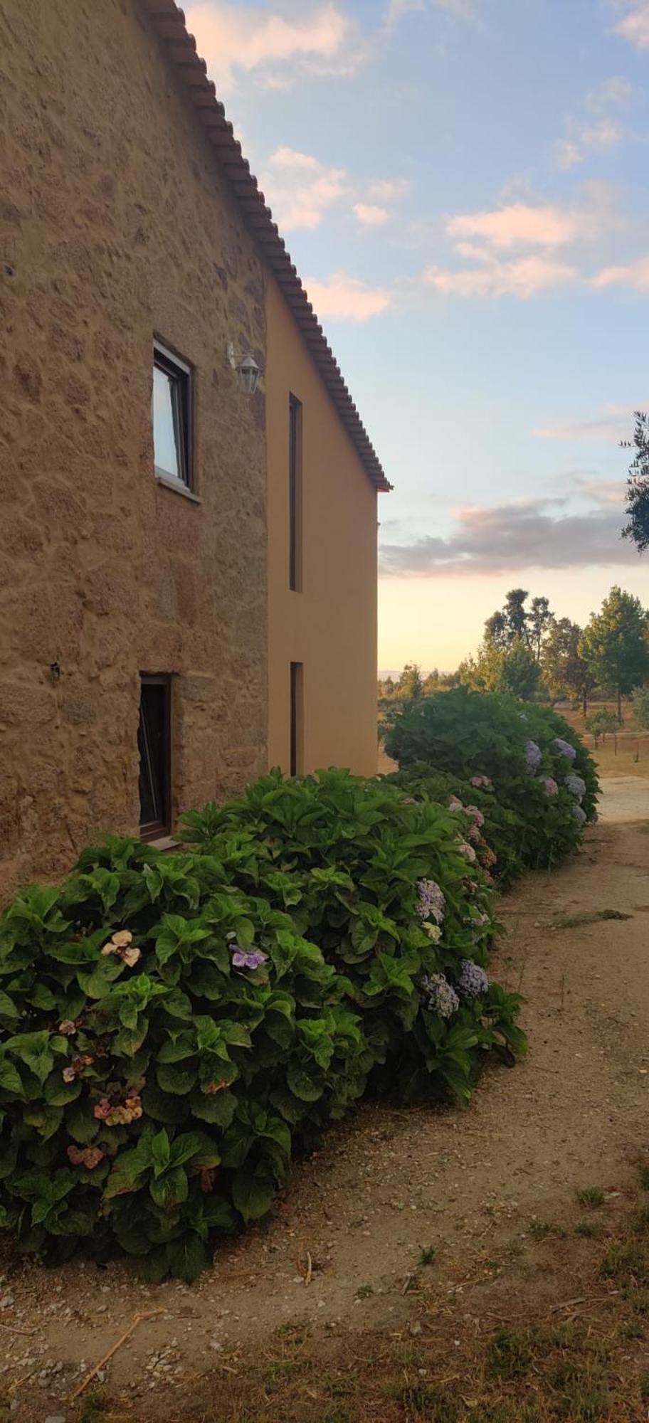 Quinta Damigo ξενώνας Seia Εξωτερικό φωτογραφία