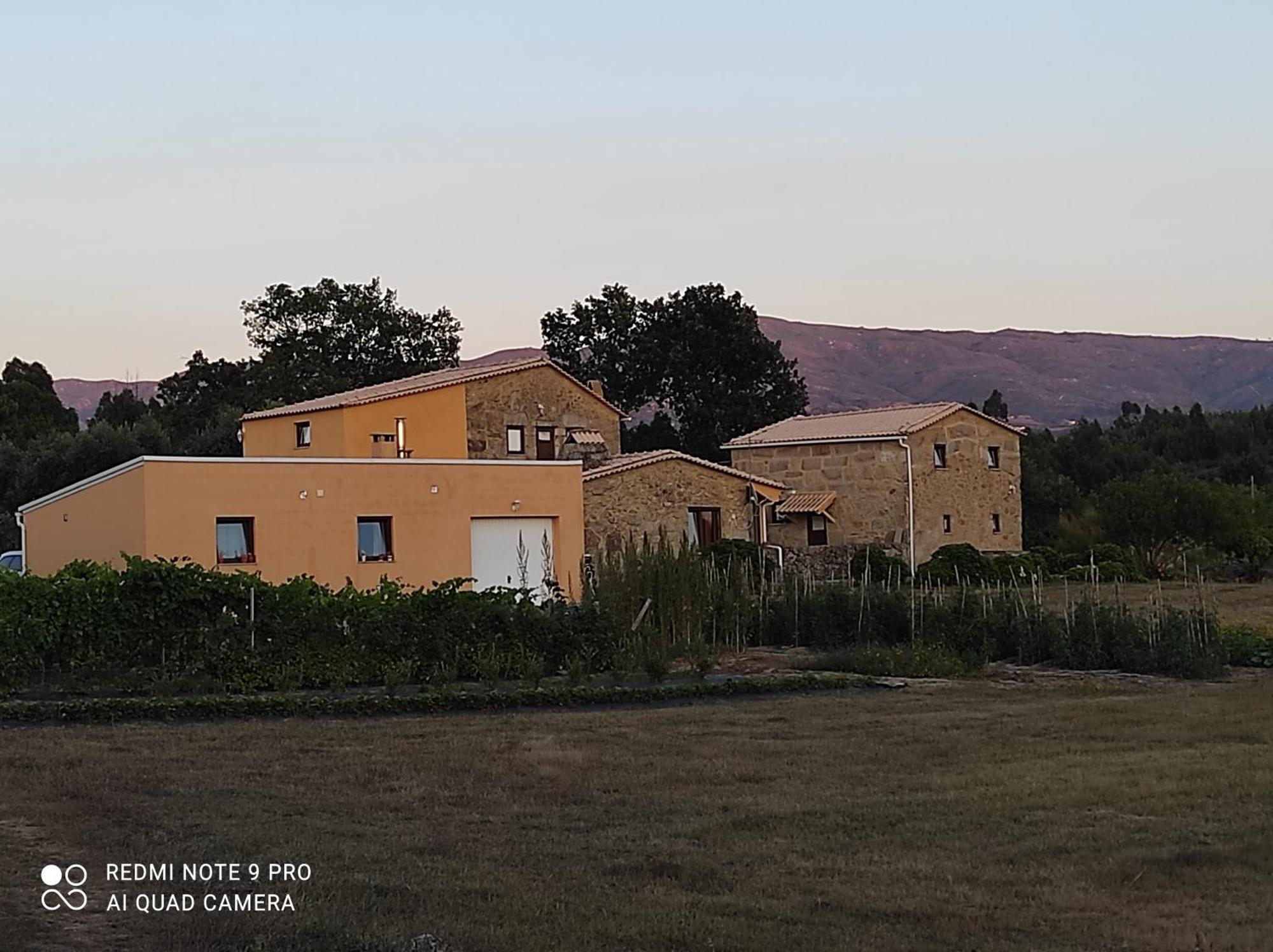 Quinta Damigo ξενώνας Seia Εξωτερικό φωτογραφία