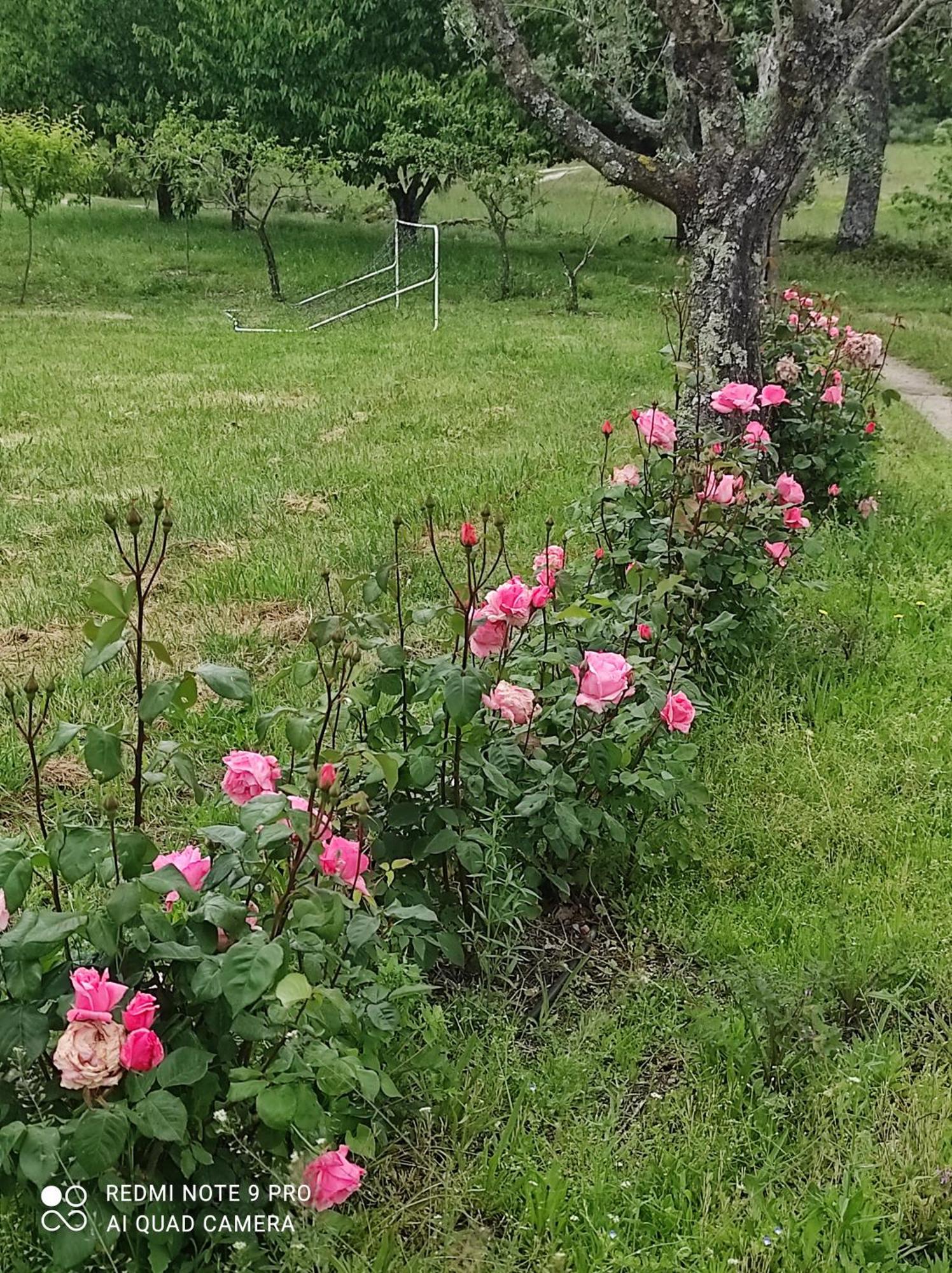 Quinta Damigo ξενώνας Seia Εξωτερικό φωτογραφία