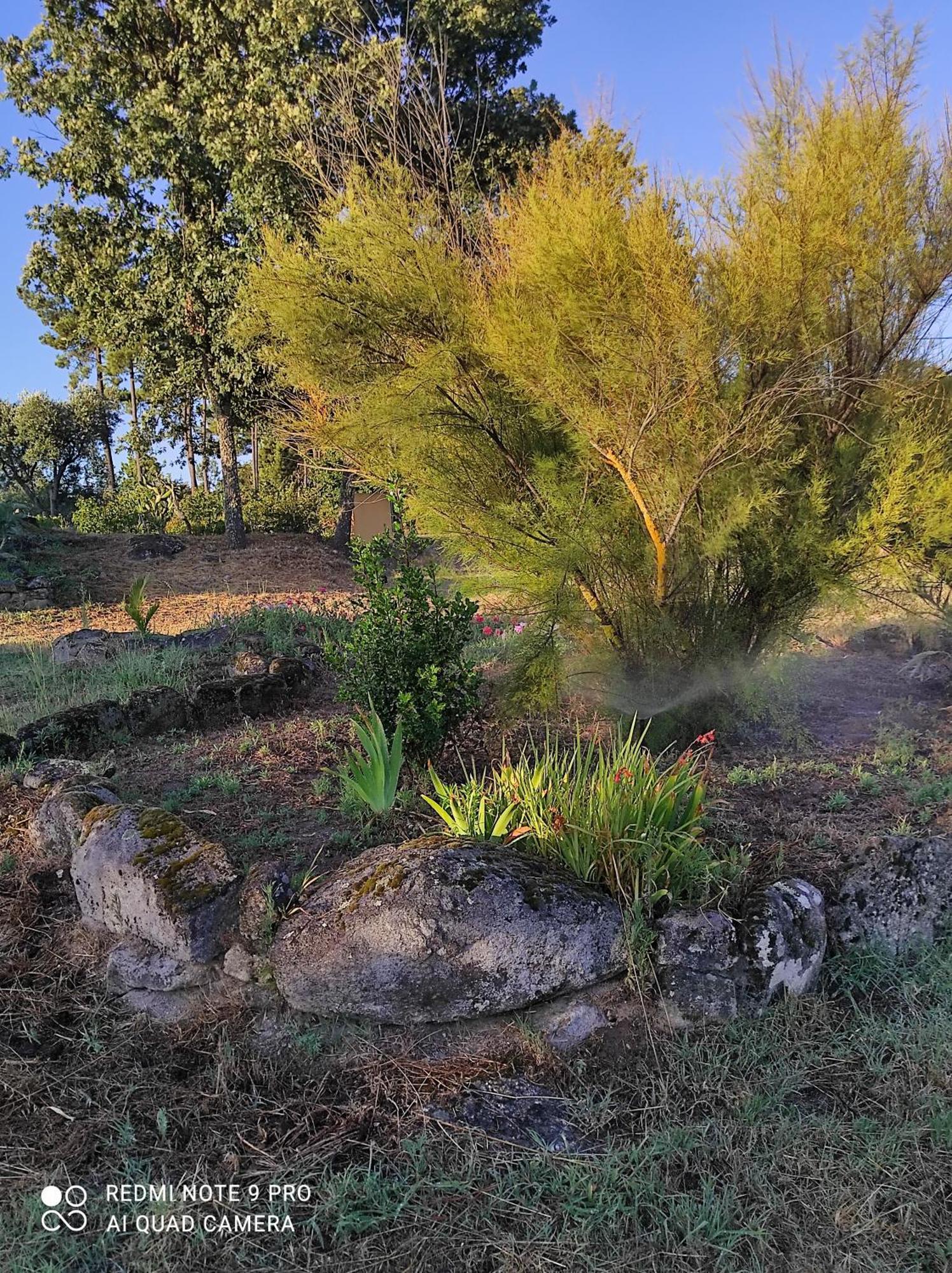 Quinta Damigo ξενώνας Seia Εξωτερικό φωτογραφία