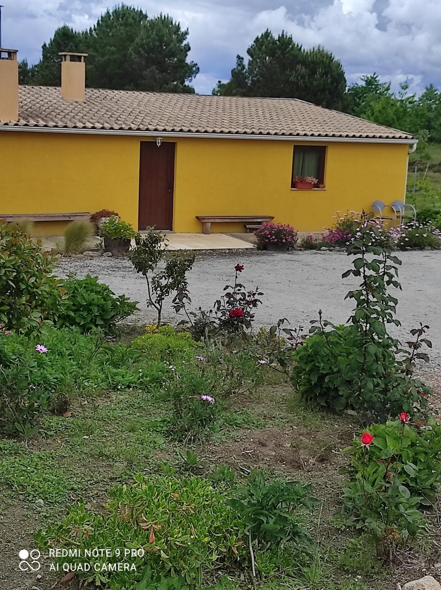 Quinta Damigo ξενώνας Seia Εξωτερικό φωτογραφία